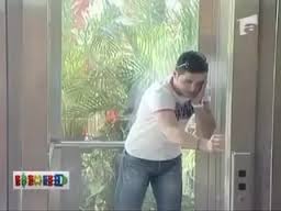 Funny Somone Leave The Tiger In Front The Elevator It’s So Funny