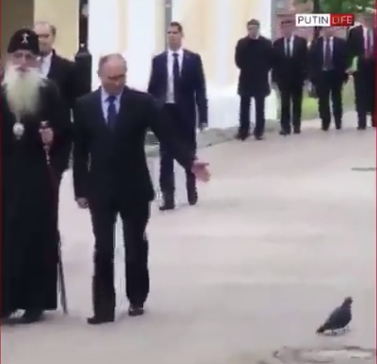 الحمامة الرقمية 