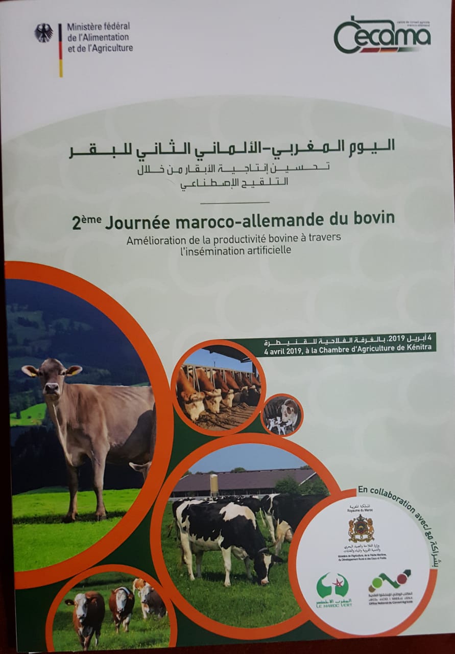 اليوم المغربي-الألماني الثاني للبقر .تحت شعار: تحسين إنتاجية الأبقار من خلال التلقيح الإصطناعي