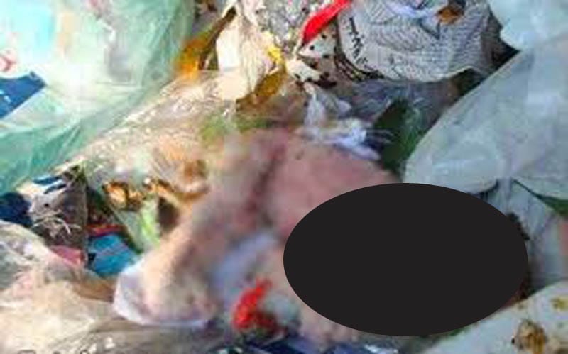 القنيطرة…العثور على جثة جنين بمطرح النفايات