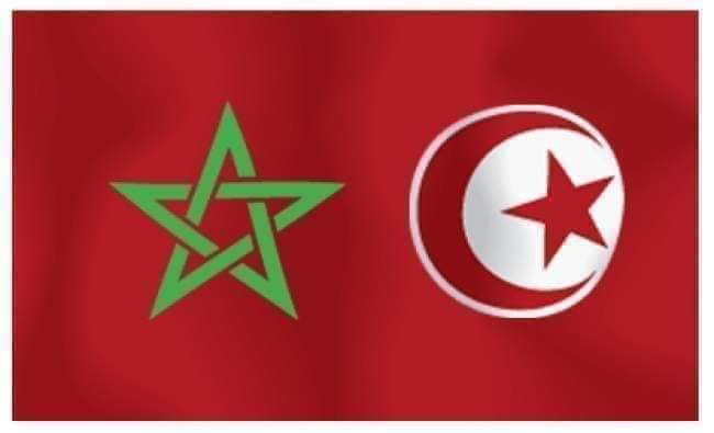 عين العقل : لا للتافهين