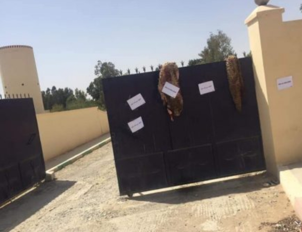 كرسيف… مواطنون يعلقون جلود الأضاحي إحتجاجا على انقطاع المياه 