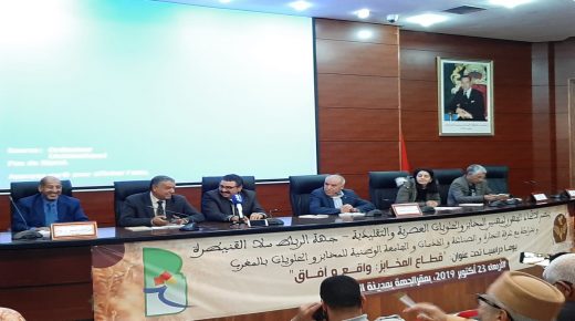 القنيطرة…الاتحاد الجهوي لمهنيي المخابز والحلويات يعقد يوما دراسيا
