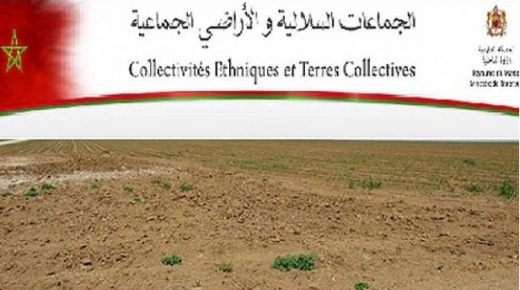 طلب تمليك قطعة ارضية سلالية