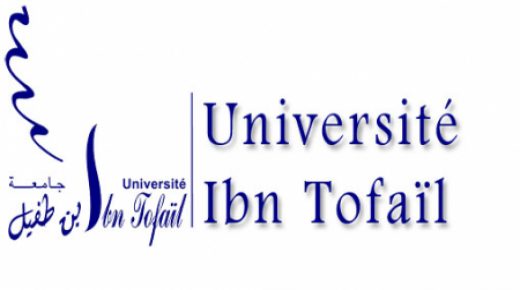 القنيطرة – أحدثت جامعة ابن طفيل إنشاءات جديدة من خلال إعادة توطين مؤسسات الجامعة وفق هندسة بيداغوجية جديدة.
