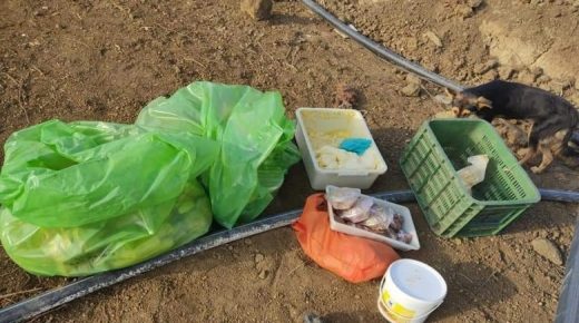 الحجز على كمية كبيرة من المواد الغدائية المنتهية الصلاحية بمقهى شهيرة بتطوان