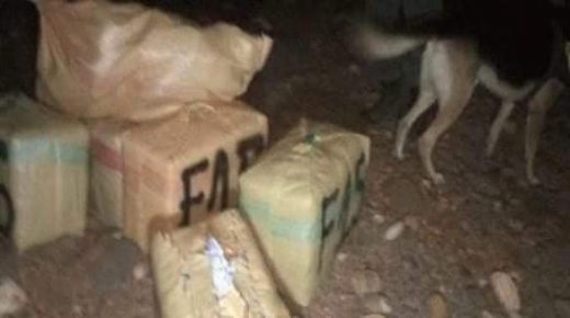 إحباط عملية تهريب كمية كبيرة من الحشيش بالدريوش