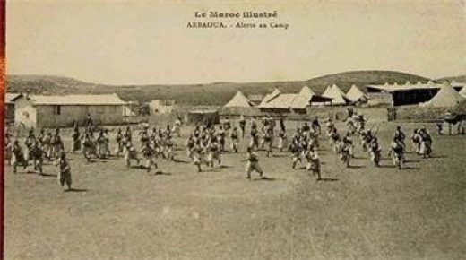 عرباوة المدينة التي خرجت من العدم