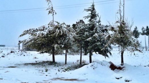 تساقطات ثلجية وطقس بارد ورياح قوية مرتقبة من الأربعاء إلى السبت بعدد من مناطق المملكة