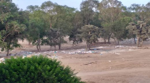 أنشطة بيئية ببنسليمان احتفالا باليوم العالمي للغابة واليوم الوطني للشجرة