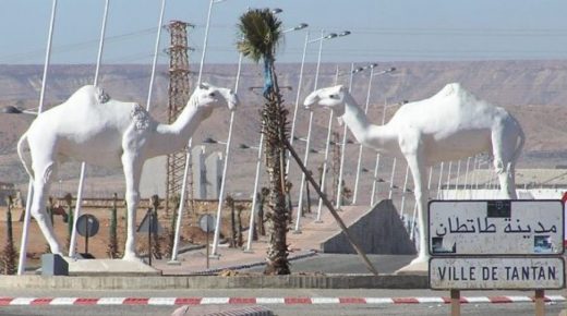 طانطان .. استفادة 180 شابا و شابة في إطار البرنامج الإقليمي للتنمية البشرية المتعدد السنوات 2021 – 2023