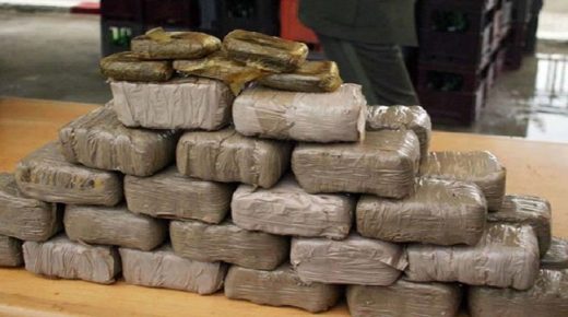 الناظور : إحباط محاولة تهريب 290 كلغ من مخدر الشيرا