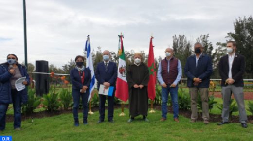المكسيك: سفيرا المغرب وإسرائيل يرفعان “التحدي الأخضر” ويشاركان في عملية تشجير في مكسيكو