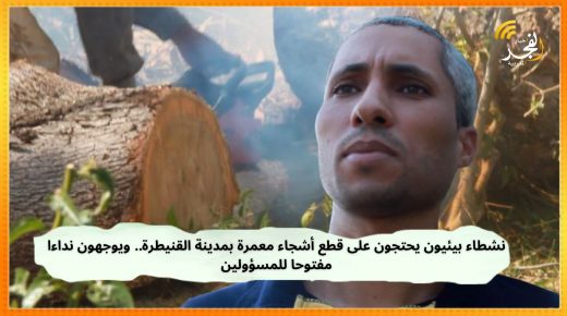 نشطاء بيئيون يحتجون على قطع أشجاء معمرة بمدينة القنيطرة.. ويوجهون نداءا مفتوحا للمسؤولين