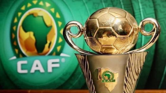 رسميا.. تأجيل موعد إقامة كأس أمم أفريقيا بالكوت ديفوار