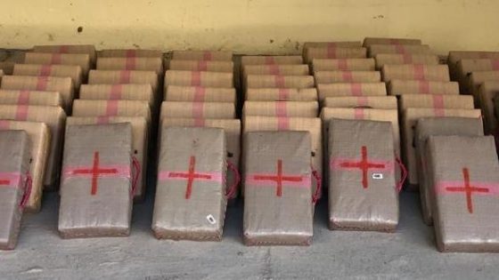 إتلاف أزيد من 20 طنا من مخدر الشيرا والكيف في ست عمليات خلال السنة الجارية (المديرية الجهوية للجمارك للرباط – سلا -القنيطرة)