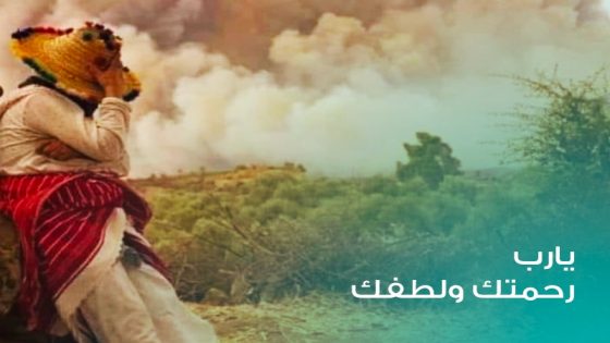 اتساع رقعة حريق غابة “آل سريف” بإقليم العرائش وتعبئة مستمرة لاحتوائه