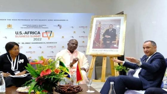قمة الأعمال الأمريكية الإفريقية 2022 : الوزير رياض مزور يدعو إلى تنفيذ مشاريع تنموية بجميع البلدان الإفريقية