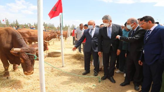 ملتقى أولماس للتنمية الحضرية : تتويج أفضل مربي سلالة الأبقار ومجموعة من الطلبة والرياضيين