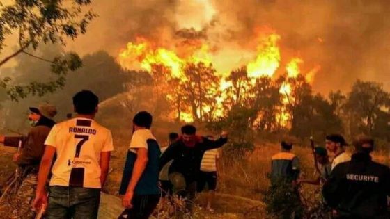 تاونات: مصرع شخص وإصابة آخر خلال مساهمتهما كمتطوعين في إخماد حريق على مستوى غابة “خندق تسيانة” (سلطات محلية)