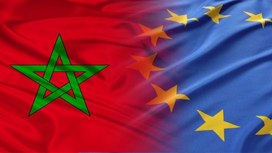 نائبة رئيسة البرلمان الأوروبي تدعو إلى شراكة أكثر عمقا مع المغرب