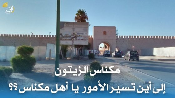 بقلم أكرم ماشا : “مكناس الزيتون الى أين تسير الأمور يا أهل مكناس ؟؟”