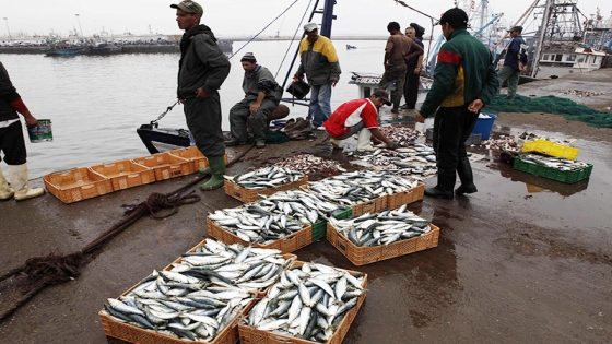 إسرائيل.. المغرب يستعرض تجربته في مجال الحفاظ على الموارد البحرية