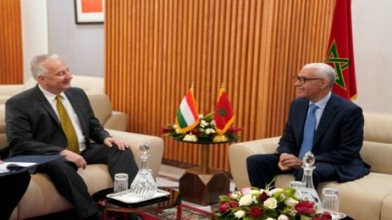 رئيس مجلس النواب يتباحث مع نائب الوزير الأول المجري