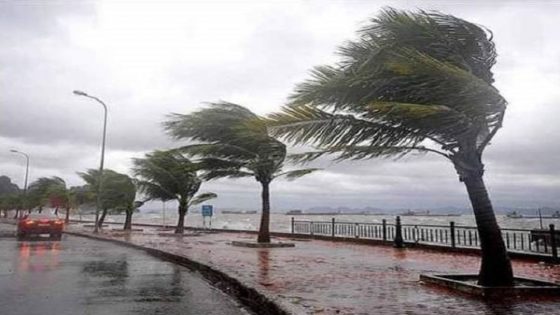 أمطار قوية أحيانا رعدية مرتقبة يومي الأربعاء والخميس بعدد من مناطق المملكة (نشرة إنذارية)