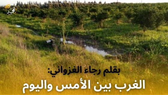 الغرب بين الأمس واليوم