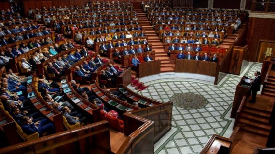 مجلس النواب.. الدعوة إلى تسريع التحول نحو الطاقات المتجددة من أجل تحقيق الأمن والنجاعة الطاقيين