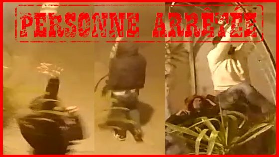 أمن طنجة يوقف شخص للاشتباه في تورطه في قضية تتعلق بالتهديد وإحداث الضوضاء بالشارع العام وإلحاق خسائر مادية بممتلكات الغير