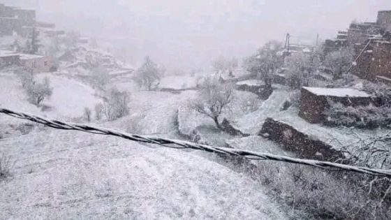 (صور) جبال إقليم شيشاوة تكتسي البياض من جديد بعد تساقط الثلوج اليوم