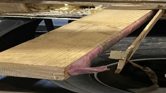 أمن ميناء طنجة المتوسط يحبط محاولة تهريب إسباني لـ157 كيلوغرام من مخدر الشيرا