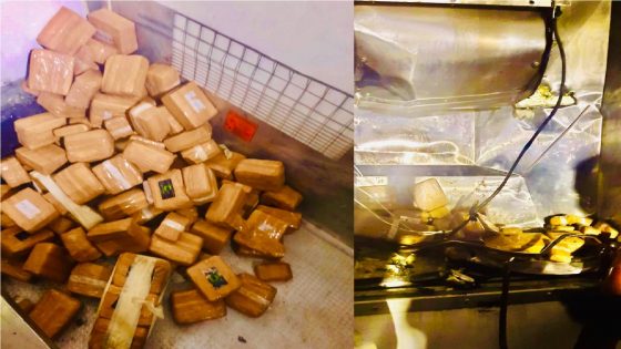 بتنسيق مع مصالح الجمارك.. عناصر الشرطة بمنطقة أمن ميناء طنجة المتوسط تحبط محاولة للتهريب الدولي ل 251 كيلوغرام من مخدر الشيرا