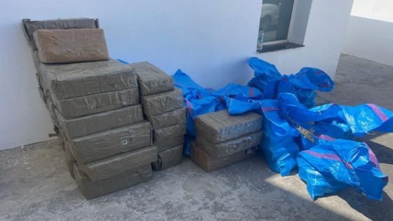 توقيف مواطن اسباني وإجهاض محاولة تهريب طن وخمسين كيلوغرام من مخدر الشيرا.