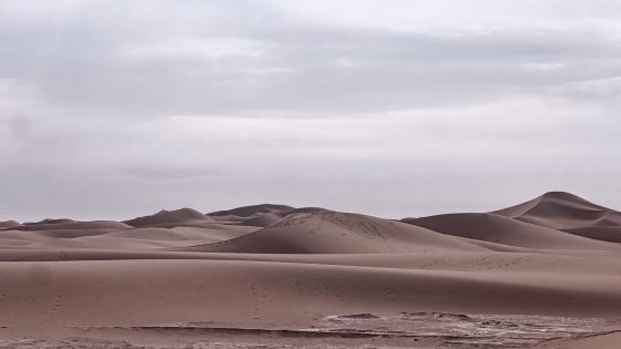 السياحة الصحراوية ، أية هيكلة؟