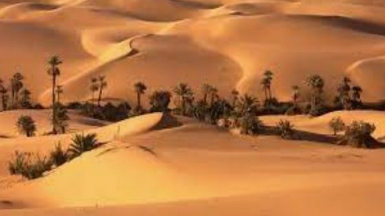 انشغالات وهموم أدب الصحراء