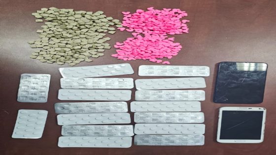 حجز 835 قرص مهلوس وتوقيف شخصين احدهما من ذوي السوابق القضائية