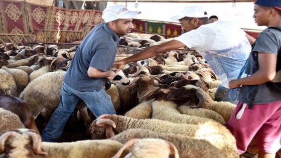 بحث ميداني أنجزته وزارة الفلاحة والصيد البحري والتنمية القروية والمياه والغابات
