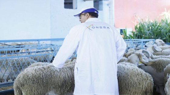 قبيل حلول عيد الأضحى، يكثف الأطباء والتقنيون البيطريون بجهة الرباط سلا القنيطرة جهودهم، من أجل ضمان تتبع جيد لحالة القطيع