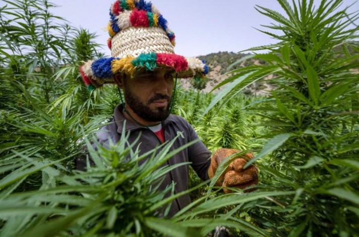 قال مستفيدون من العفو الملكي، بمناسبة ذكرى ثورة الملك والشعب، المنحدرين من مداشر إقليم شفشاون