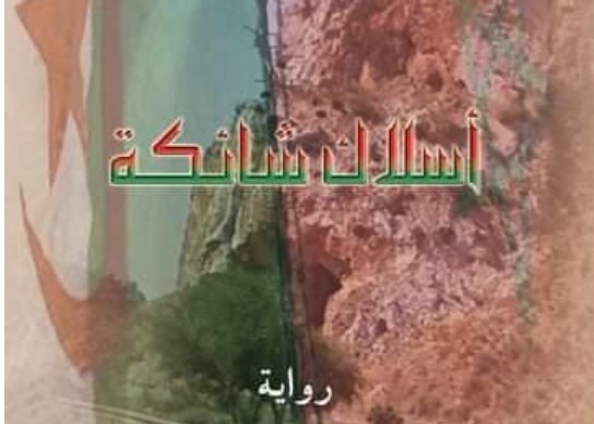 الاجتماعي والسياسي في “أسلاك شائكة” للروائي مصطفى لغتيريخديجة محو