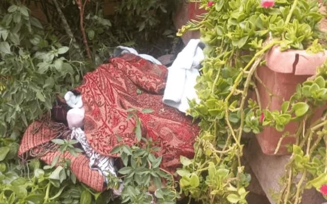 العثور على رضيعين في حديقة منزل مهجور