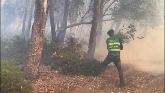 حــ ريق غابة هوارة يتوسع بشكل كبير ويصل إلى الطريق الرئيسي الرابط بين طنجة وأصيلة