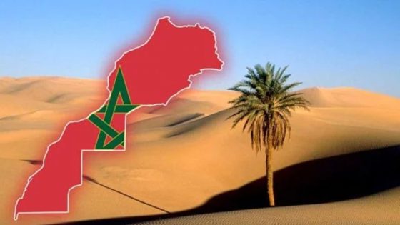 المخطط المغربي للحكم الذاتي، ثمرة “سياسة طويلة الأمد” تحت قيادة جلالة الملك محمد السادس (سفير ياباني)