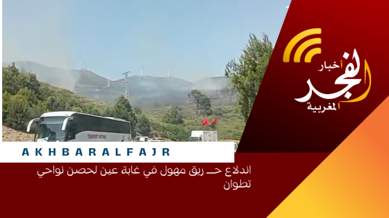 اندلاع حــ ريق مهول في غابة عين لحصن نواحي تطوان