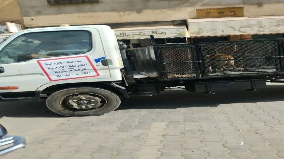 جماعة الأوداية تنخرط بجدية في برنامج الدولة لمحاربة الكلاب الضالة