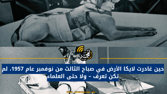 حين غادرت لايكا الأرض في صباح الثالث من نوفمبر عام 1957، لم تكن تعرف – ولا حتى العلماء