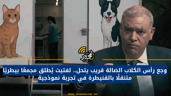 وجع رأس الكلاب الضالة قريب يتحل.. لفتيت يُطلق مجمعًا بيطريًا متنقلًا بالقنيطرة في تجربة نموذجية
